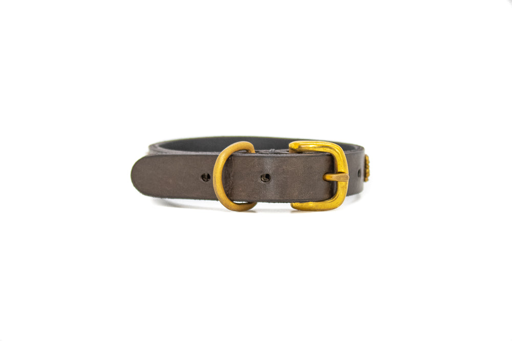 Dog Collars