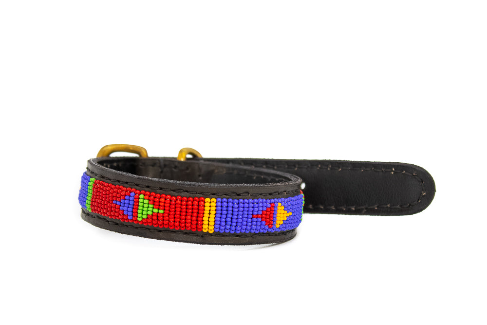 Dog Collars