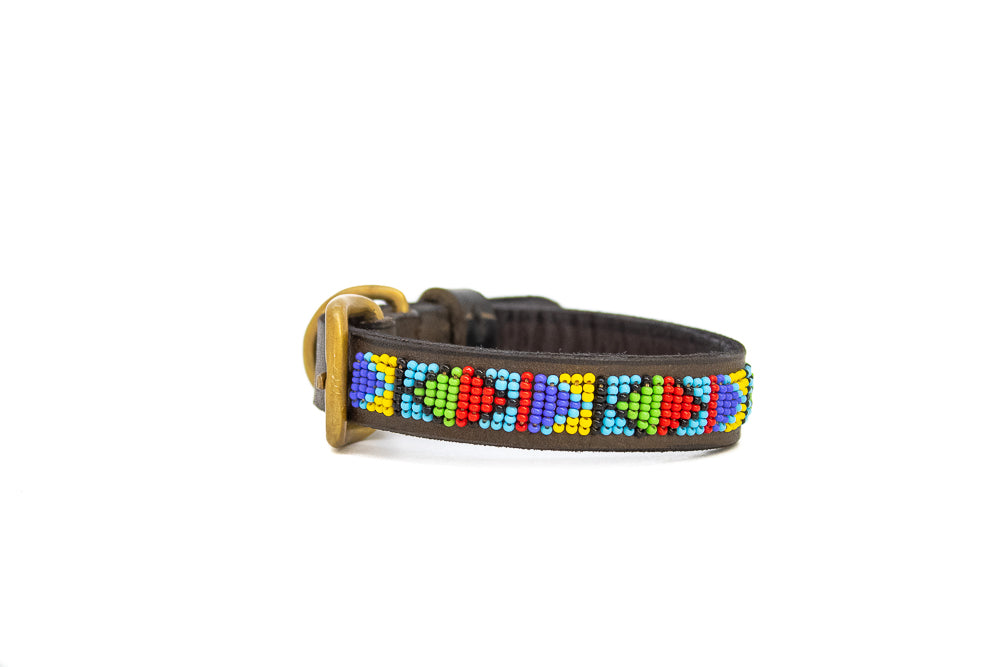 Dog Collars