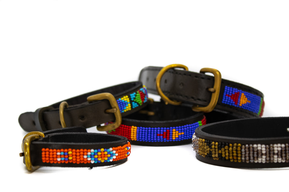 Dog Collars