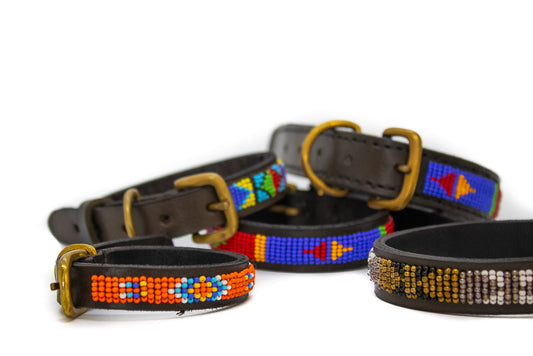 Dog Collars