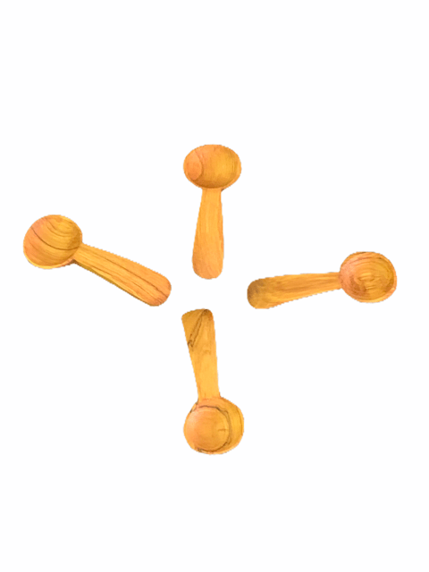 Plain Spice Spoons